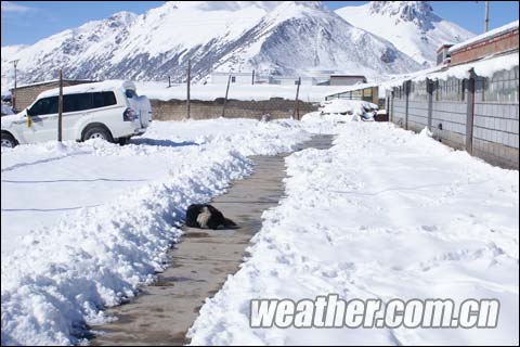 11月18日，西藏嘉黎县被厚厚积雪裹盖（摄影：达瓦 边多）