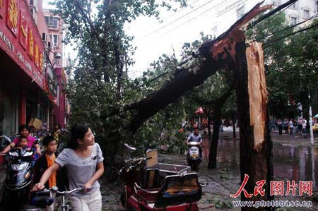 组图：河南周口遭狂风暴雨冰雹袭击