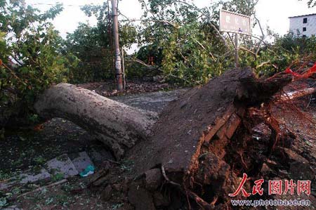 组图：河南周口遭狂风暴雨冰雹袭击