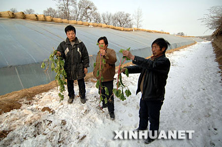 陕西暴风雪50年一遇下周局部气温将达-30℃