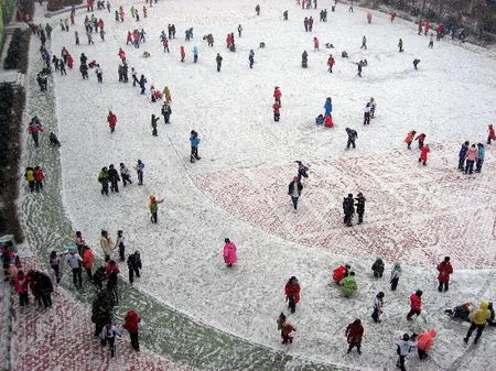 东北三省普遍降雪道路交通和航班受影响(组图)