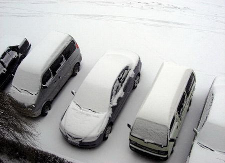 东北三省普遍降雪道路交通和航班受影响(组图)