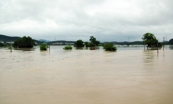 江西西部普降暴雨新余近5万人遭受洪灾(组图)