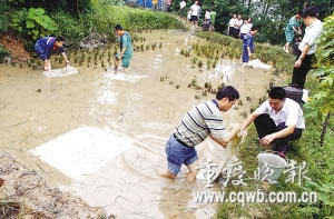 重庆机场唯一供油管道航空煤油泄漏(组图)