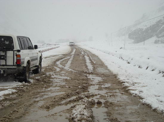 新疆巴音郭楞等地遭遇30年不遇夏季暴雪(组图)