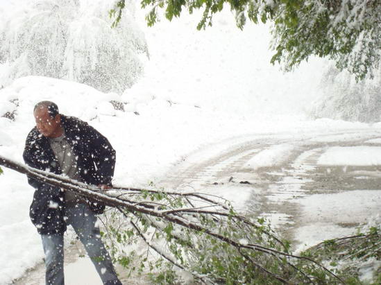 新疆巴音郭楞等地遭遇30年不遇夏季暴雪(组图)