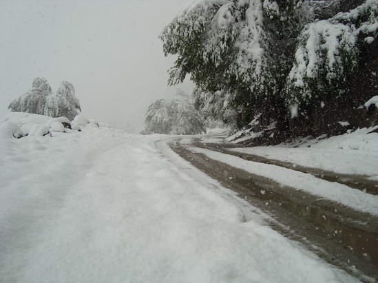 新疆巴音郭楞等地遭遇30年不遇夏季暴雪(组图)