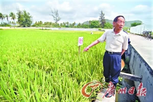 袁隆平：保住18亿亩耕地红线有难度