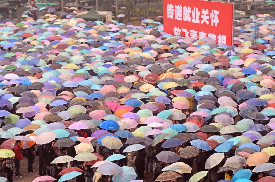 组图：杭州数万人冒雨参加招聘会