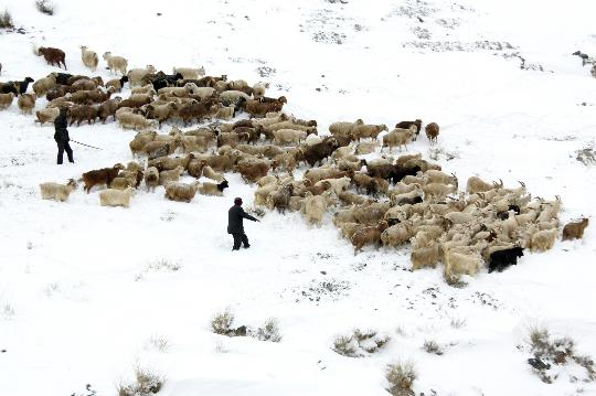 组图：新疆哈密北部普降中到大雪