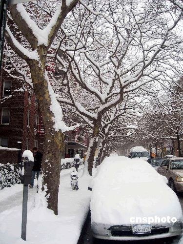 美国东部遭遇暴雪交通受阻学校停课(组图)