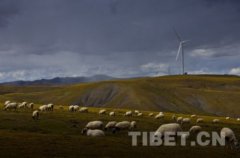 海拔最高风电场9月在那曲并网发电（图）