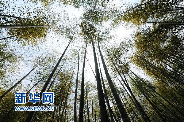 （图文互动）（6）十年接力绘美丽浙江 生态红利惠千万群众——“绿水青山就是金山银山”在浙江的探索和实践