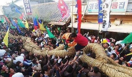 韩国拔河申遗成功 