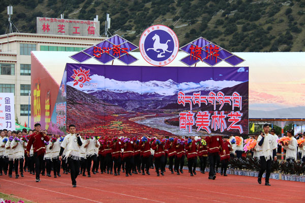 图为开幕式上的林芝市旅游系统方队.jpg