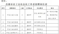 昌都市总工会社会化工会工作者招聘公告