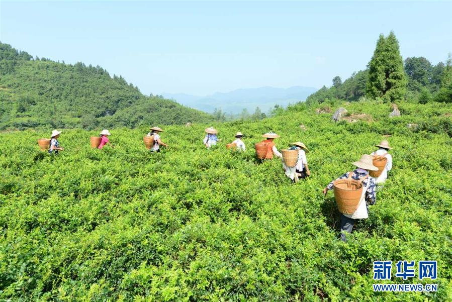 （在习近平新时代中国特色社会主义思想指引下——新时代新作为新篇章·总书记关切脱贫事·决胜贫困·图文互动）（8）易地扶贫搬迁：助力“跨越式”奔小康