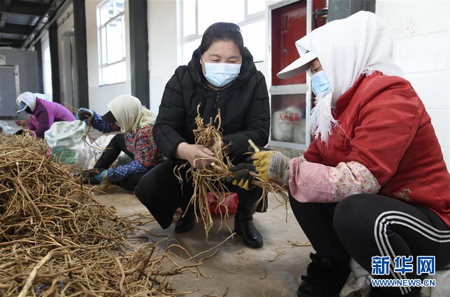 （新华全媒头条·图文互动）（2）特殊时期，他们这样履职——全国人大代表这个春天在行动