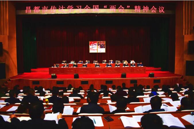 普布顿珠在传达学习全国两会精神会议上说……