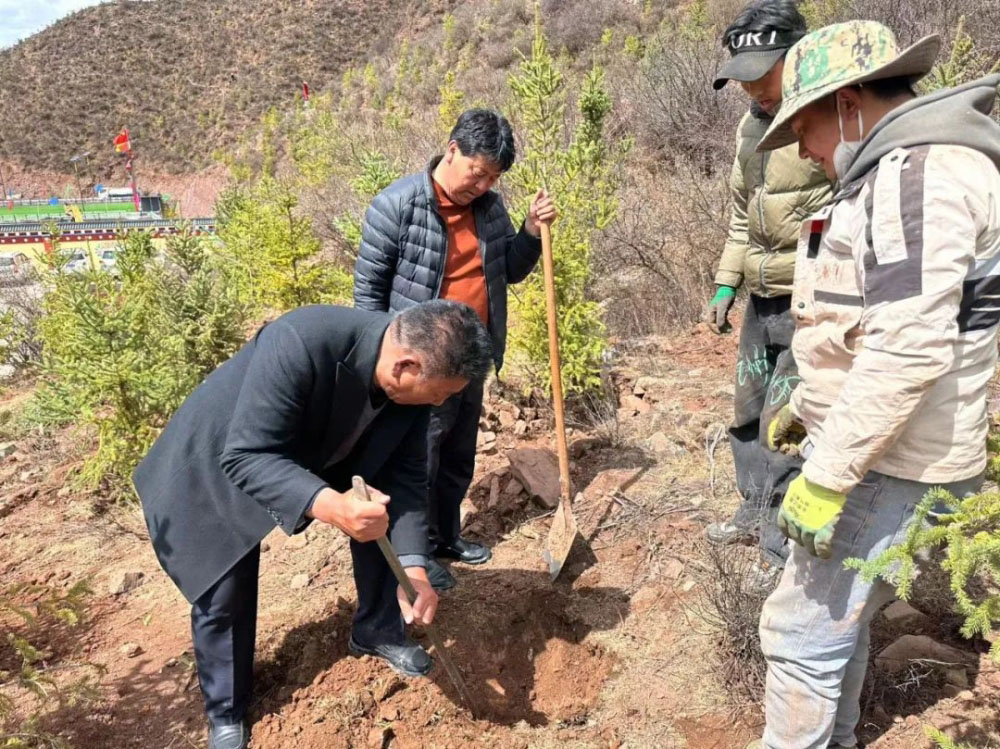 ​卡若区：筑牢生态底色 助力群众增收