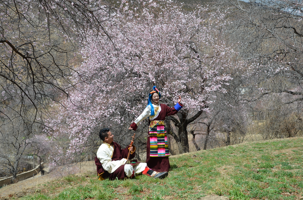 西藏芒康：好景藏不住，等你来“打卡”！